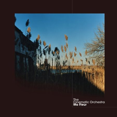 The Cinematic orchestra : ma fleur (ninja tune 2007)