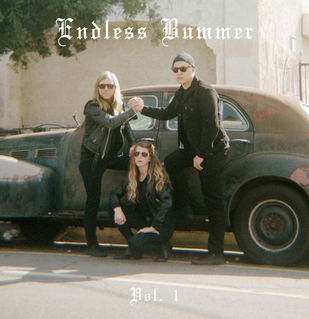 Endless Bummer/Vol.1, In The Red Records (2014)