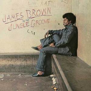 James Brown : In the jungle groove (polydor)