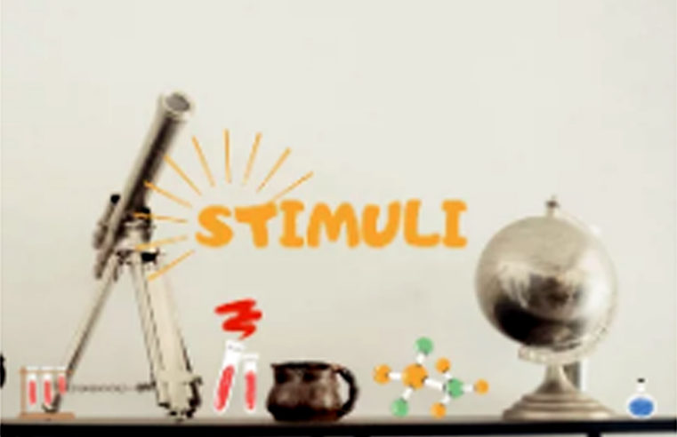 Stimuli