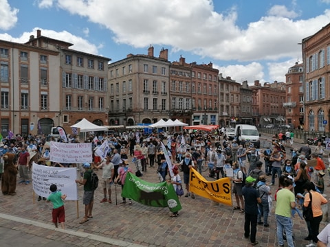 Rassemblement “Tous pour l’ours dans les Pyrénées”