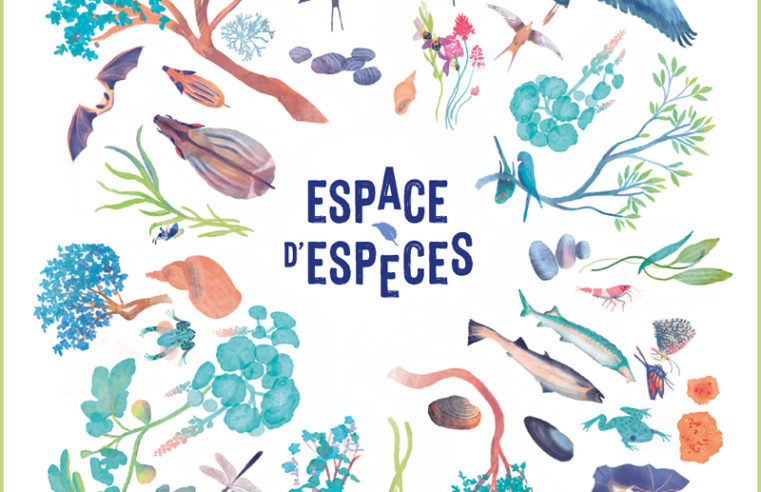 Espace d’espèces