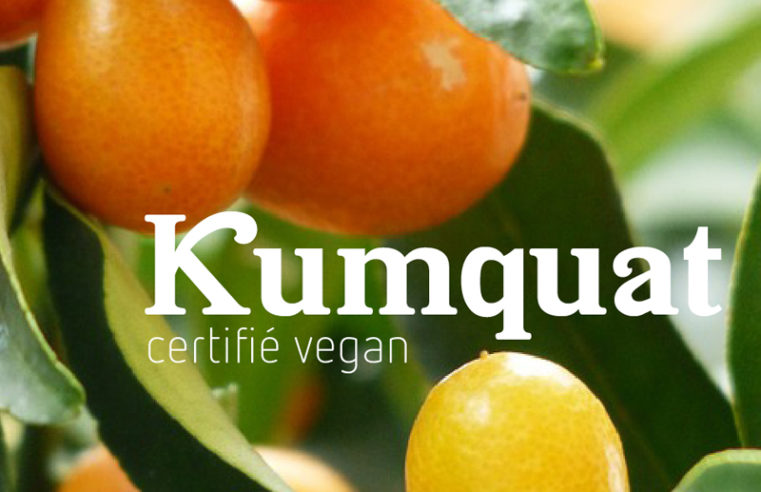 Kumquat