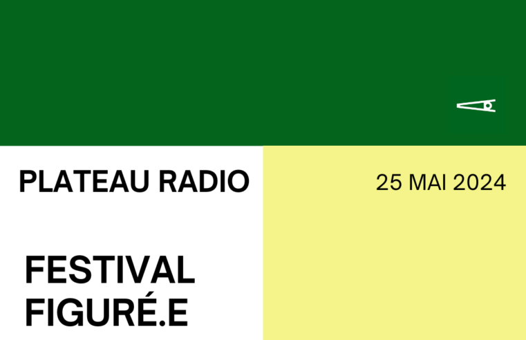 Festival Figuré.e #4